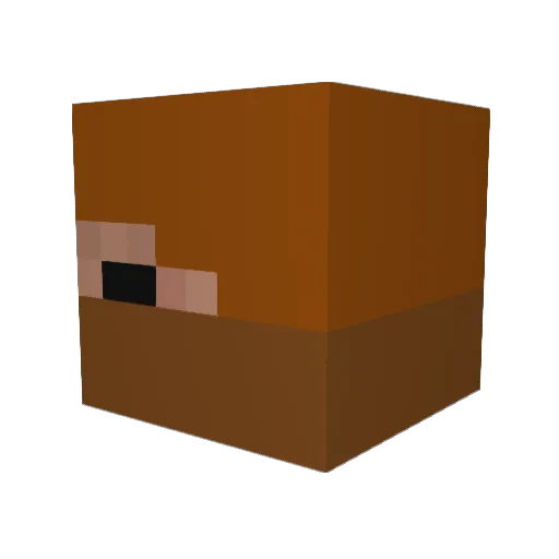 Pokeman_rule Minecraft avatar head, 3D render