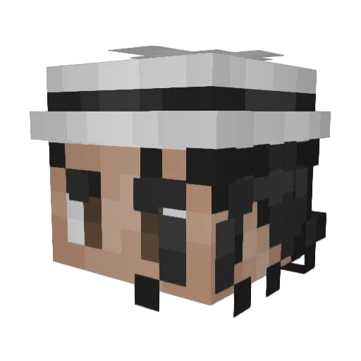 Pokemeder Minecraft avatar head, 3D render