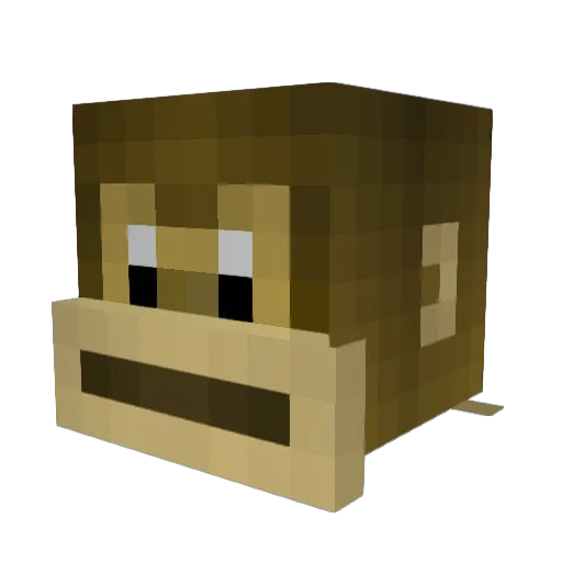 PokemonMan420 Minecraft avatar head, 3D render