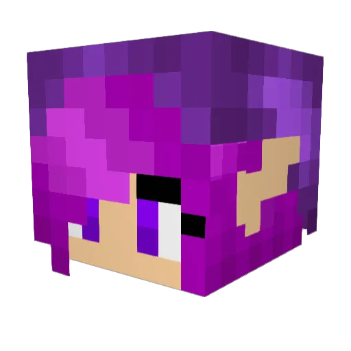 PokemonMaster251 Minecraft avatar head, 3D render