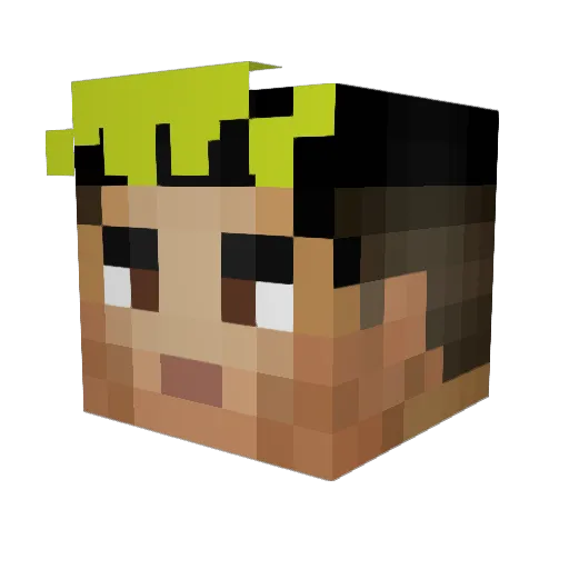 PokemonRambo2 Minecraft avatar head, 3D render