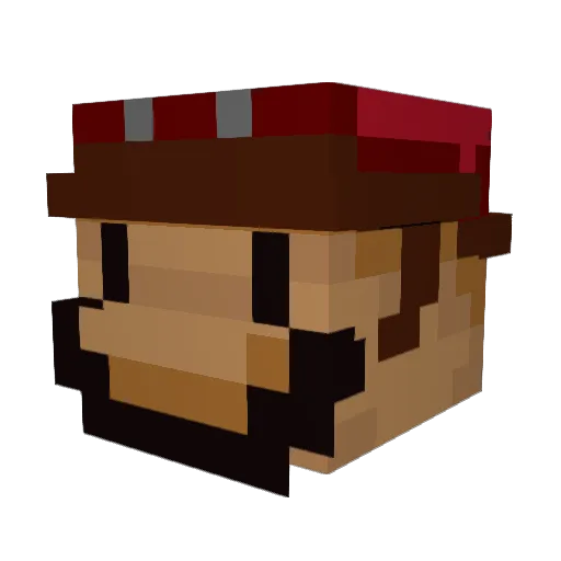 Pokemon_Nerd_14 Minecraft avatar head, 3D render