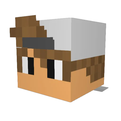 Pokemon_boii Minecraft avatar head, 3D render