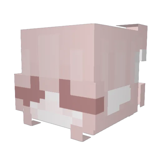 Pokemonftw91468 Minecraft avatar head, 3D render