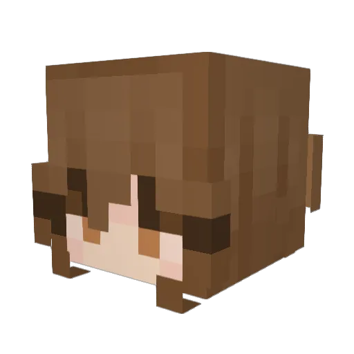 Pokepo123 Minecraft avatar head, 3D render