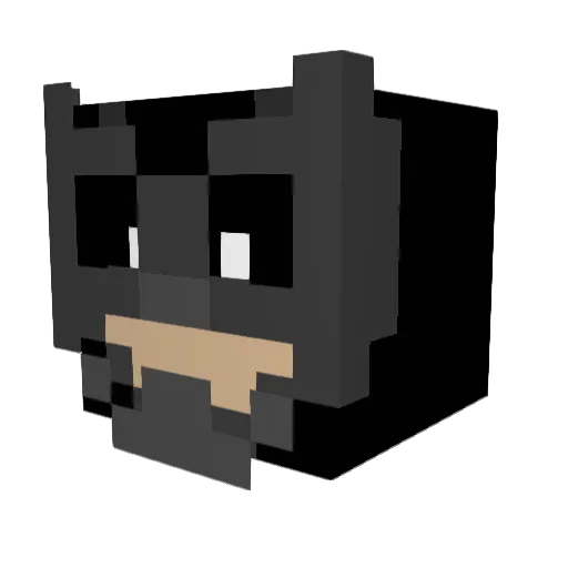 Pokepohu808 Minecraft avatar head, 3D render