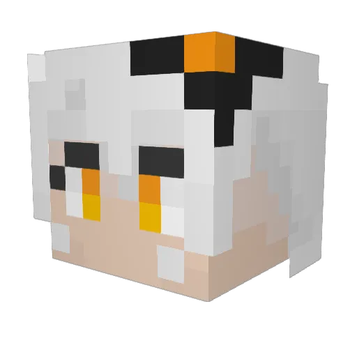 Poker0x0 Minecraft avatar head, 3D render