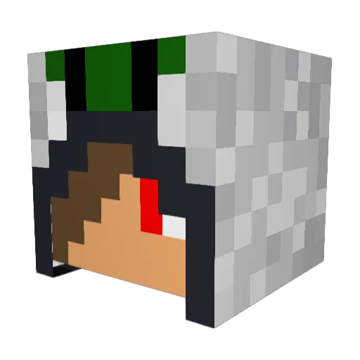 Poker_24 Minecraft avatar head, 3D render