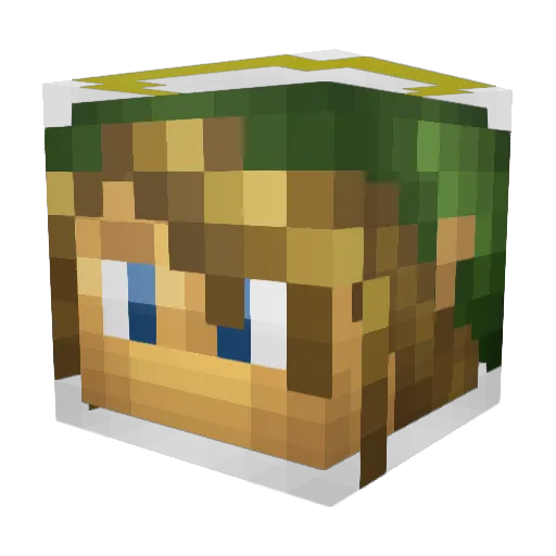 Pokerod178 Minecraft avatar head, 3D render