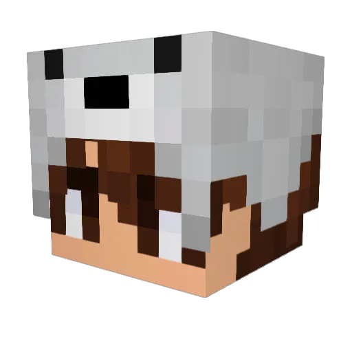 Pokeruto04 Minecraft avatar head, 3D render