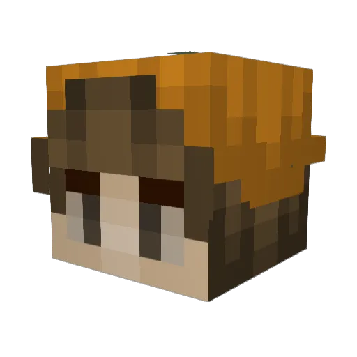 Pokeshine_ Minecraft avatar head, 3D render