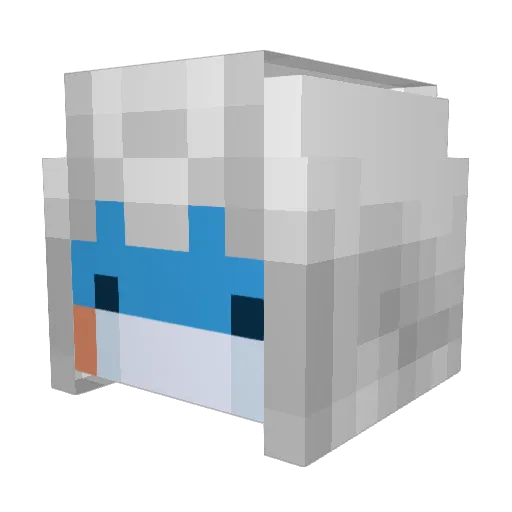 Pokesquirrel Minecraft avatar head, 3D render