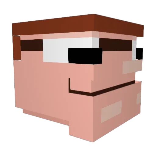 Pokey2 Minecraft avatar head, 3D render
