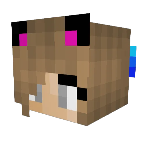 PokeyCoder Minecraft avatar head, 3D render