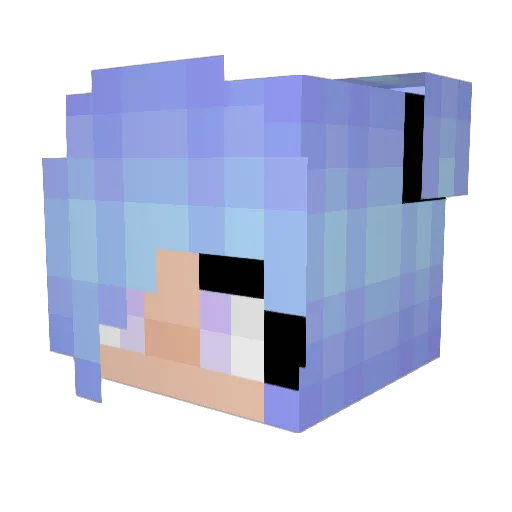 PokeyTheDogg Minecraft avatar head, 3D render