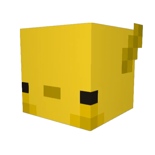 Pokey_My_G Minecraft avatar head, 3D render