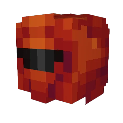 Poki01 Minecraft avatar head, 3D render