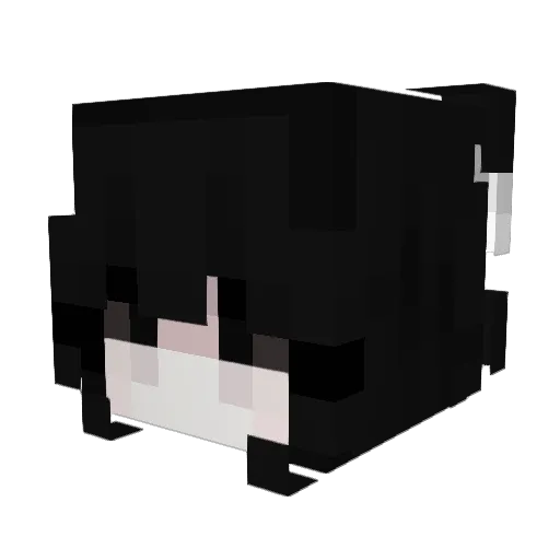 PokiSleep Minecraft avatar head, 3D render