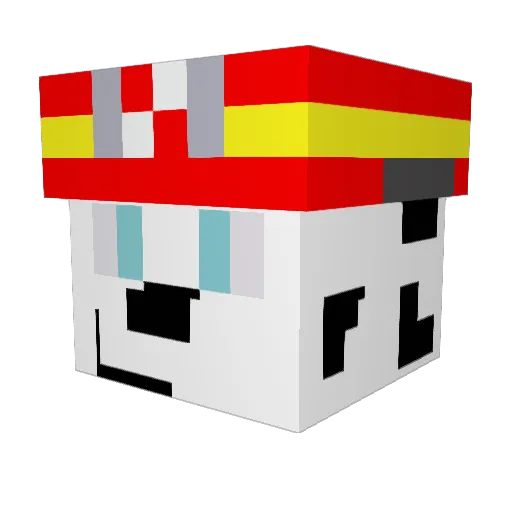 Pokijuka Minecraft avatar head, 3D render
