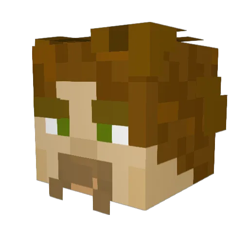 PokketStar Minecraft avatar head, 3D render
