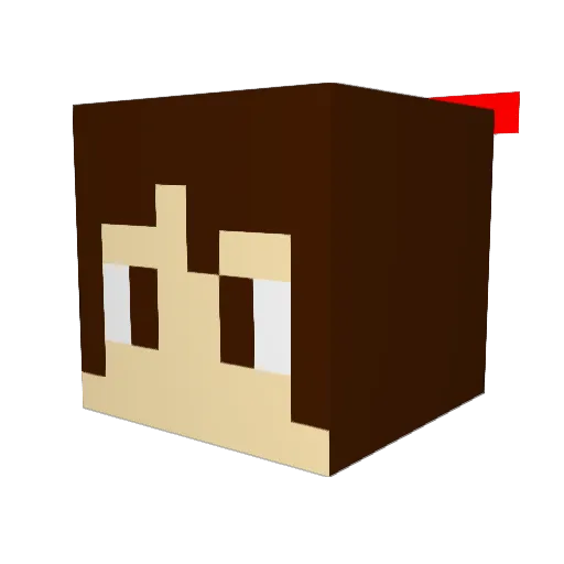 Pokkuru1993 Minecraft avatar head, 3D render