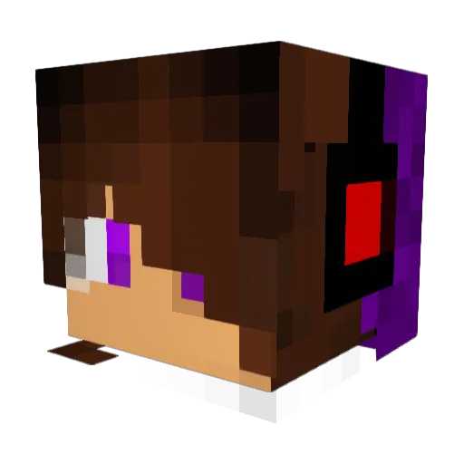 Pokme_SK Minecraft avatar head, 3D render