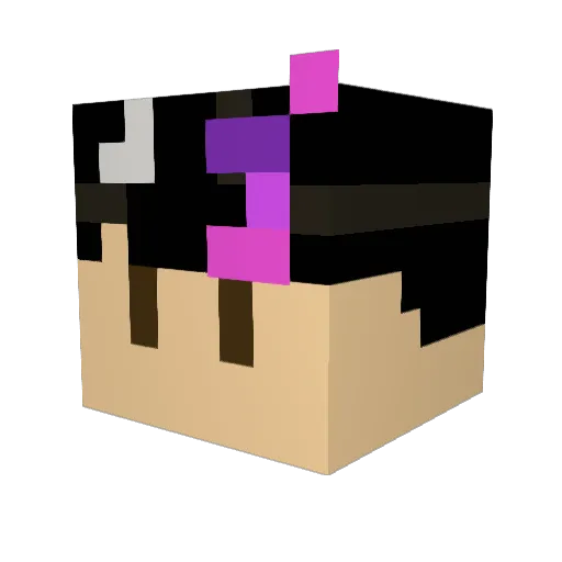 Pokstro Minecraft avatar head, 3D render
