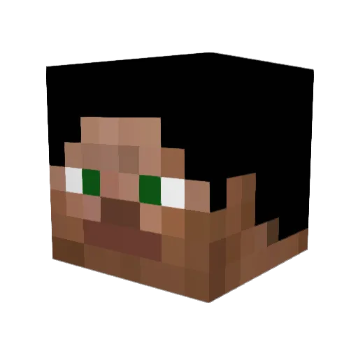 Poky272 Minecraft avatar head, 3D render