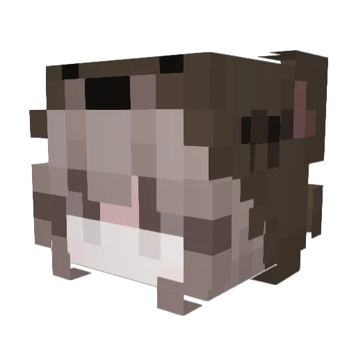 Pokymantis586890 Minecraft avatar head, 3D render