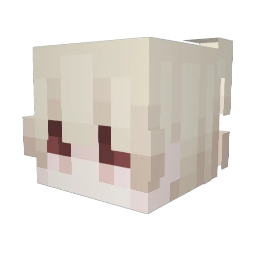 Pol1838 Minecraft avatar head, 3D render