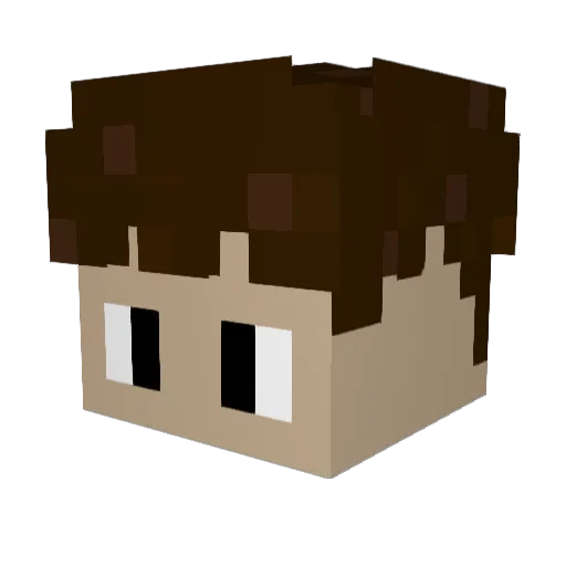 Pol4r09 Minecraft avatar head, 3D render