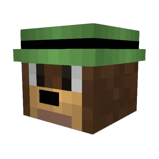 PolPe6 Minecraft avatar head, 3D render