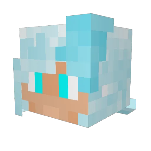 Pola1r Minecraft avatar head, 3D render