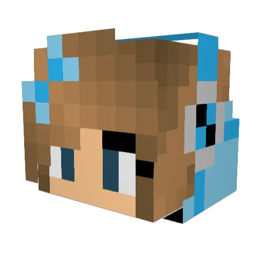 PolaMatx Minecraft avatar head, 3D render