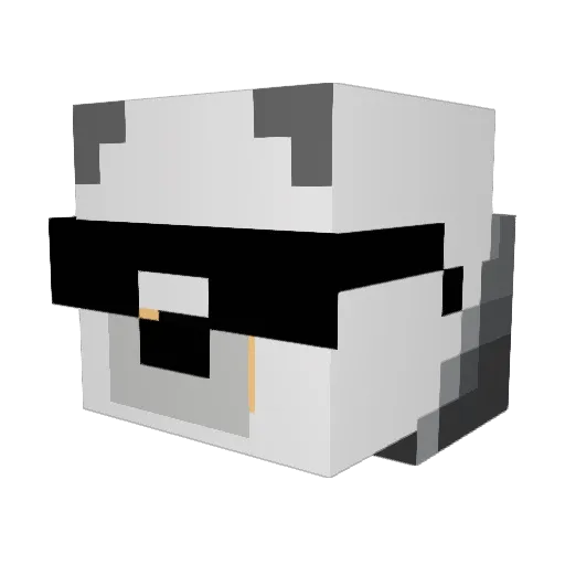 PolahWolah Minecraft avatar head, 3D render
