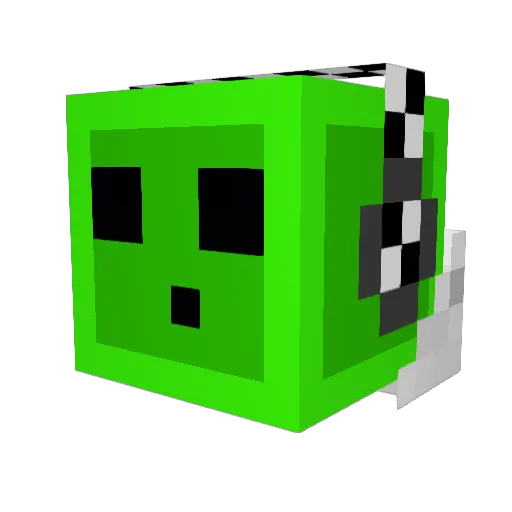 Polak2013 Minecraft avatar head, 3D render