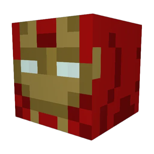 Polakiller666 Minecraft avatar head, 3D render
