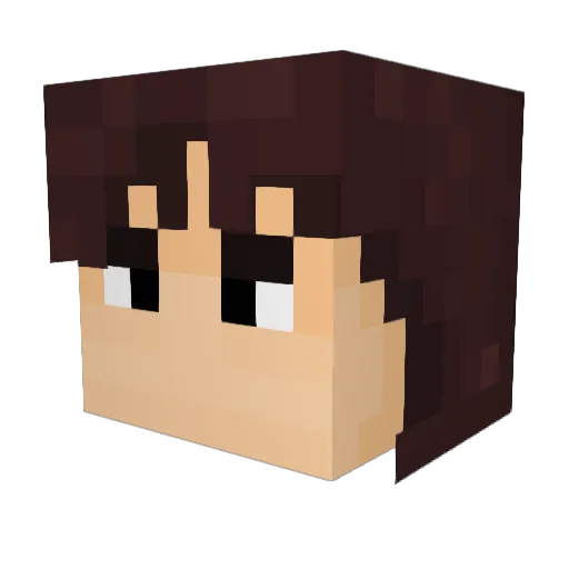 PolandEgg Minecraft avatar head, 3D render