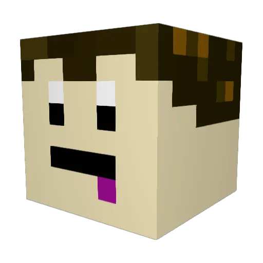 PolandIsCool Minecraft avatar head, 3D render