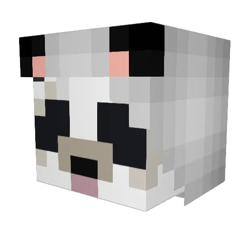 Polander Minecraft avatar head, 3D render