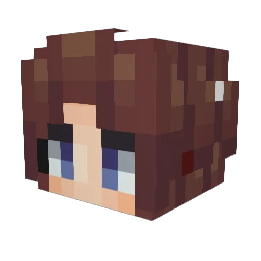 Polands Minecraft avatar head, 3D render
