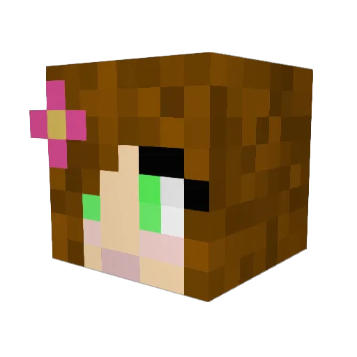 Polanvix Minecraft avatar head, 3D render