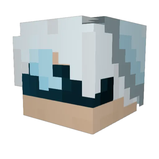 Polar0831 Minecraft avatar head, 3D render