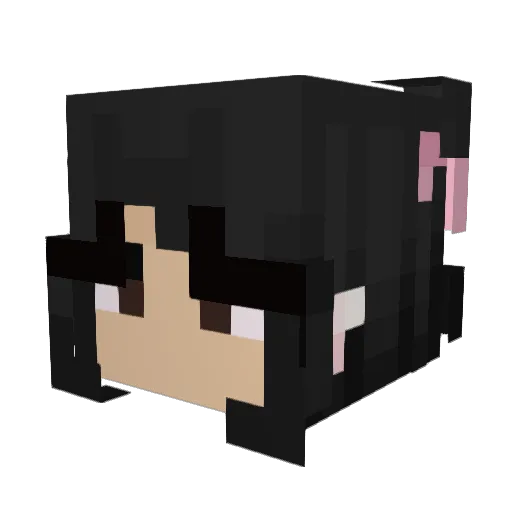 Polar0bsession Minecraft avatar head, 3D render