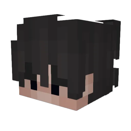 Polar2812xd Minecraft avatar head, 3D render