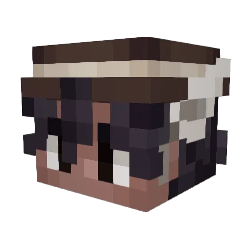 Polar8Bits Minecraft avatar head, 3D render