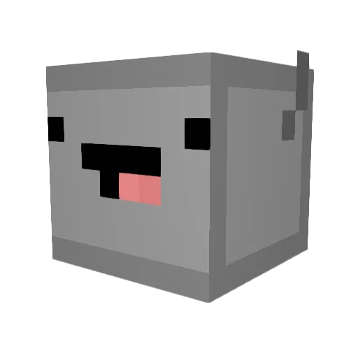 PolarGamer8 Minecraft avatar head, 3D render