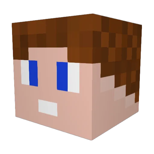 PolarPenguin_ Minecraft avatar head, 3D render