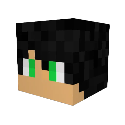 PolarRoast Minecraft avatar head, 3D render