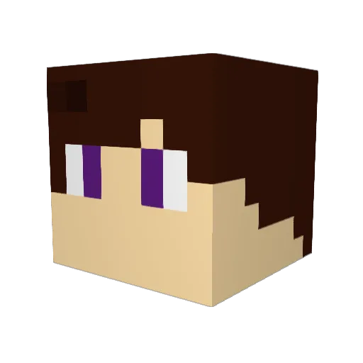 Polar_Bear95 Minecraft avatar head, 3D render